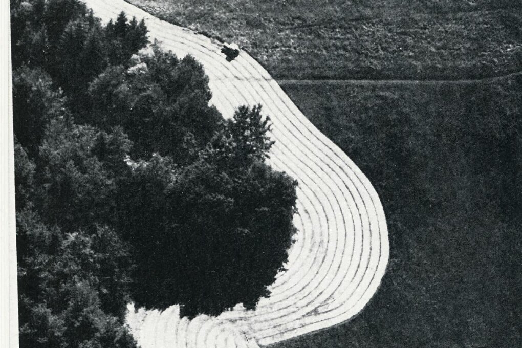 Ženy s&nbsp;kamerou